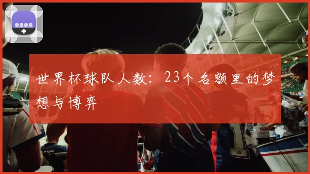 世界杯球队人数：23个名额里的梦想与博弈