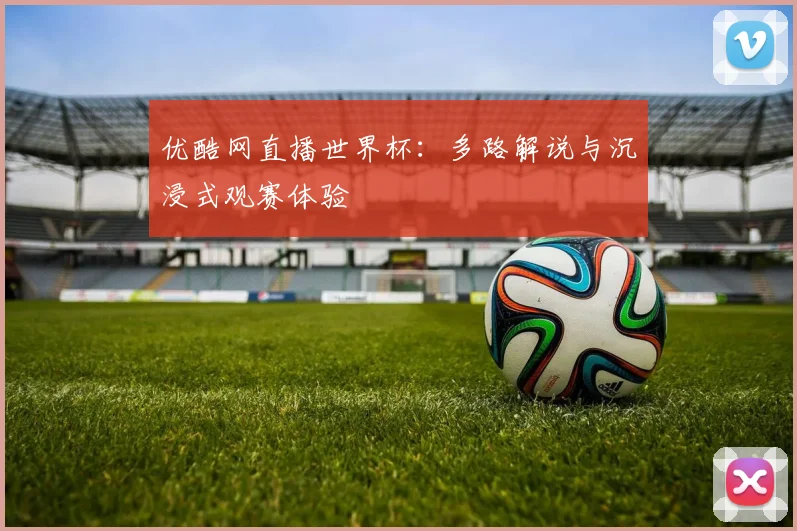 优酷网直播世界杯：多路解说与沉浸式观赛体验