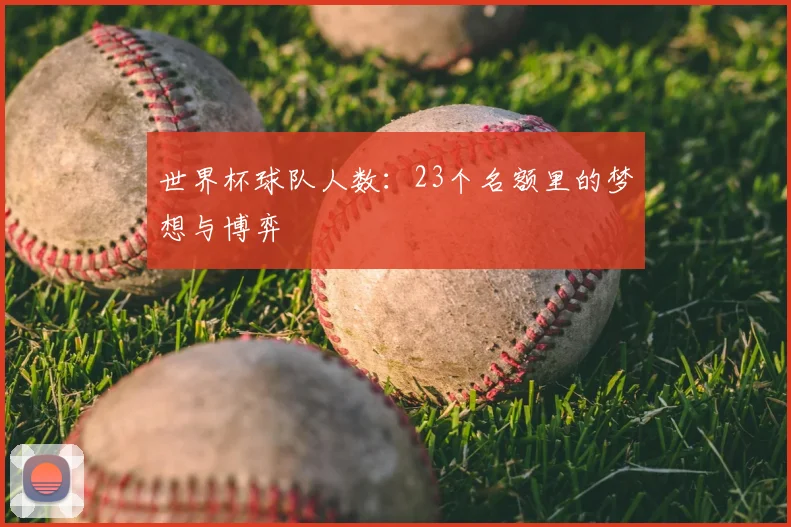 世界杯球队人数：23个名额里的梦想与博弈