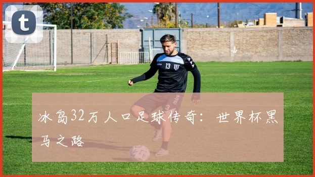 冰岛32万人口足球传奇：世界杯黑马之路